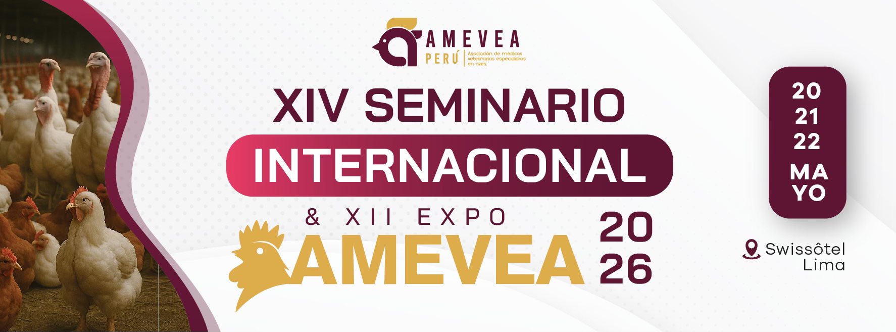Amevea 2024 - XII Seminario Internacional - XI EXPO